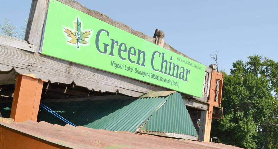 Hotel Green Chinar, Srinagar 5